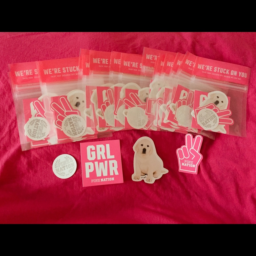 VS PINK nation sticker pack